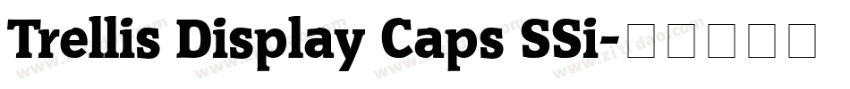 Trellis Display Caps SSi字体转换